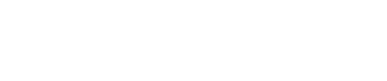 FASESA Logo